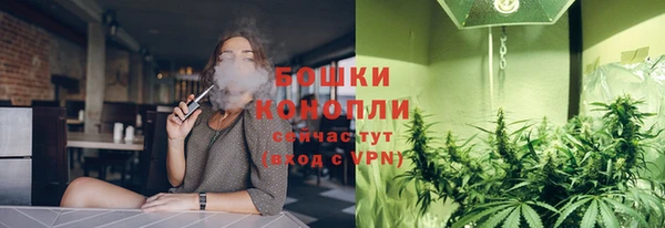 молекула духа Белоозёрский