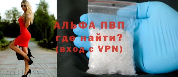 молекула духа Белоозёрский