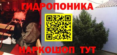 дмт Заволжье