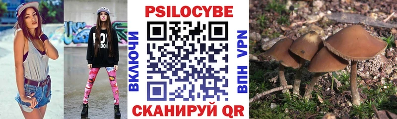 Псилоцибиновые грибы мицелий Армавир