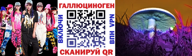Псилоцибиновые грибы Psilocybe  цена   Армавир 